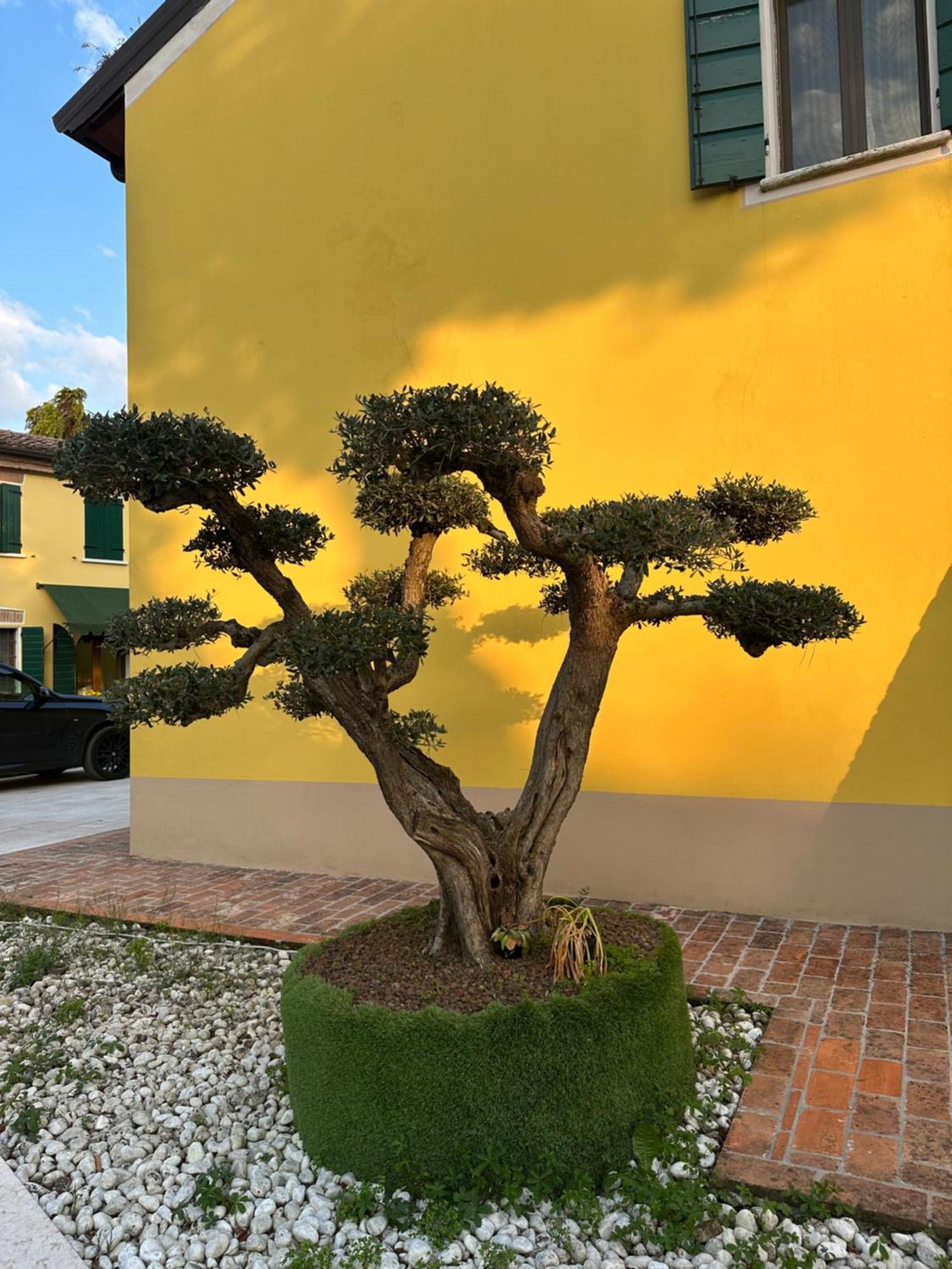 Agriturismo Corte Capiluppia Curtatone Zewnętrze zdjęcie