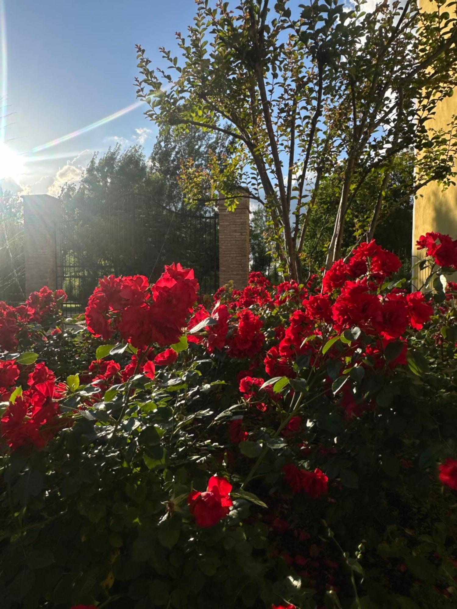 Agriturismo Corte Capiluppia Curtatone Zewnętrze zdjęcie