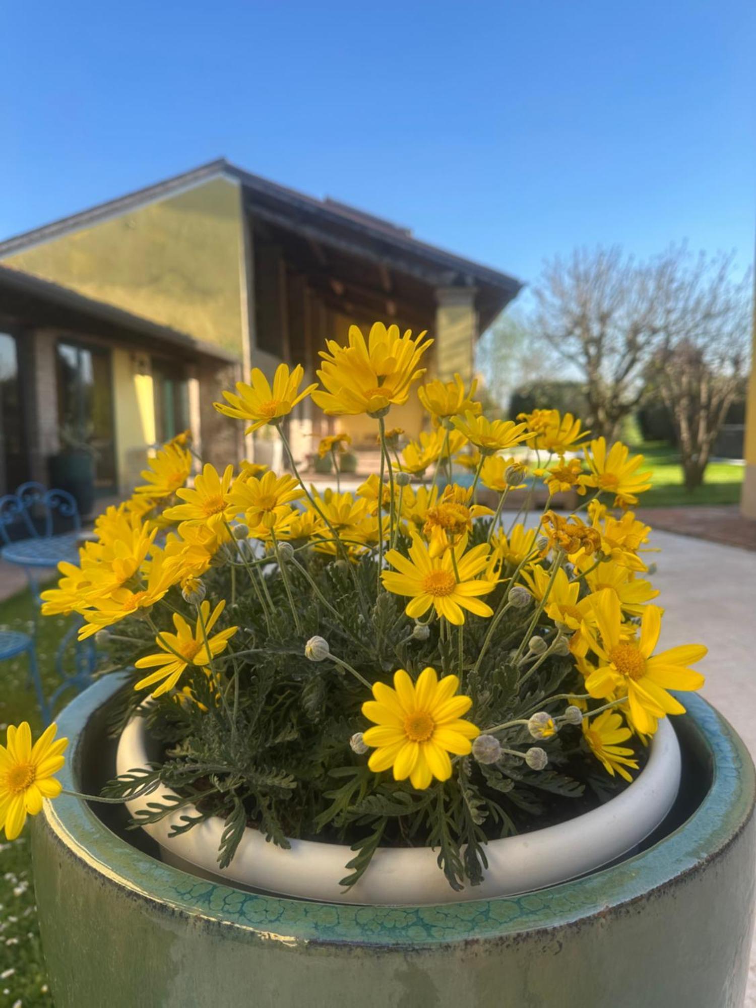 Agriturismo Corte Capiluppia Curtatone Zewnętrze zdjęcie
